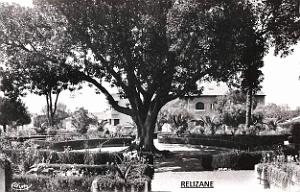 Relizane 106